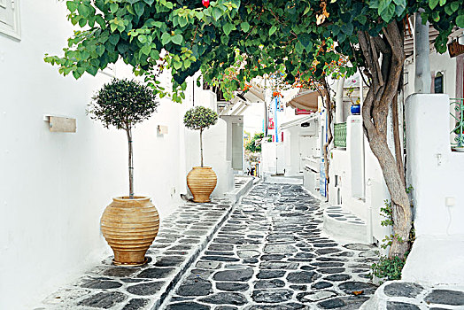 quay thu xsmb
