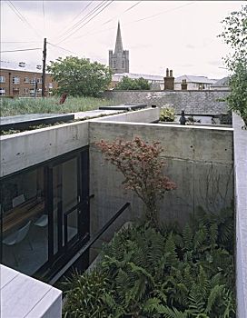 soi lo rong bach kim