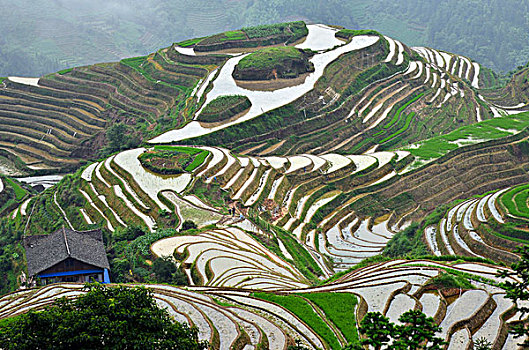chốt số hôm nay