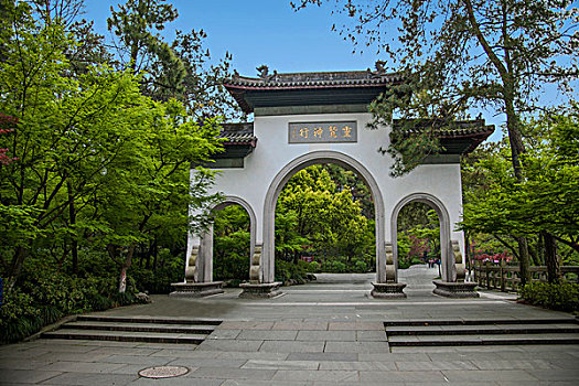 soi cau chinh xac 100