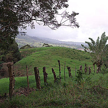 thong ke dac biet