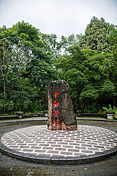 thong ke rong bach kim gio vang