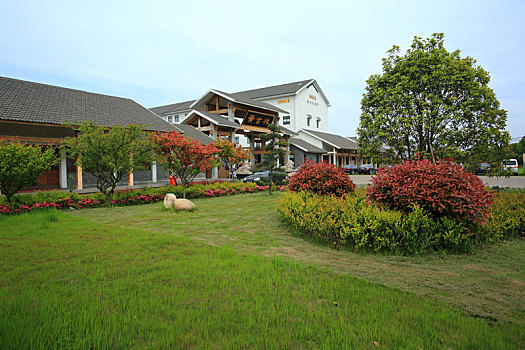 xsmn thu nam hang tuan