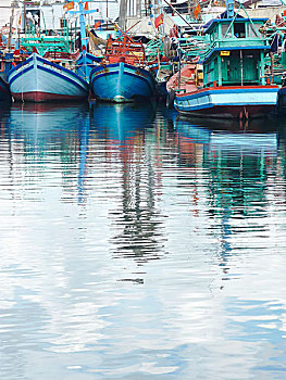 cau bạch thu hom nay