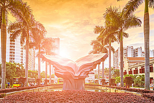 soi cau 247