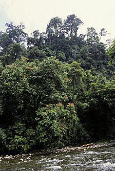 soi cau sieu chuan 6886