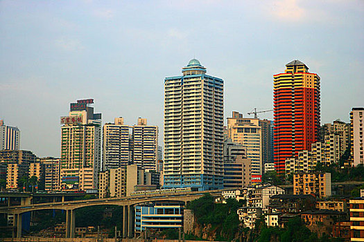 rong bach kim soi cau 88