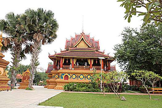 soi cau rong bach kim 666