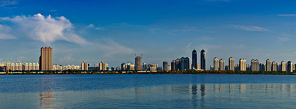 cau lo bach thu khung 5 ngay