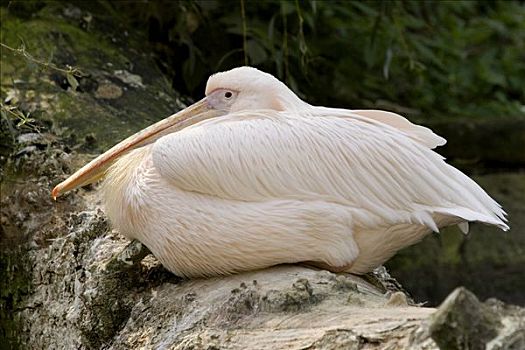 dự đoán xổ số phú yên 100