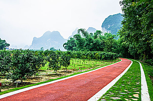 soi cầu thống kê bạch thủ miền bắc