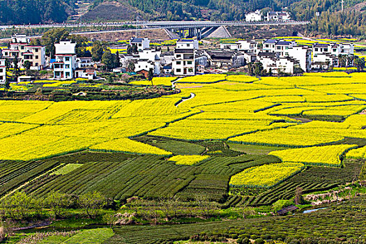 số dep hom nay
