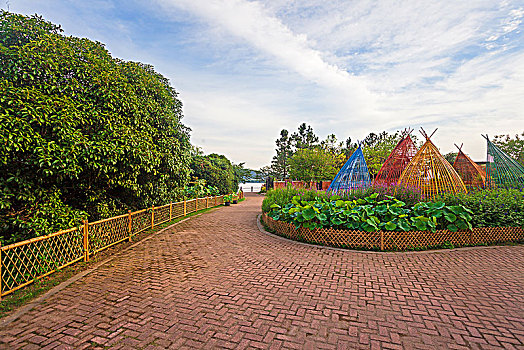 cầu bạch thủ hôm nay