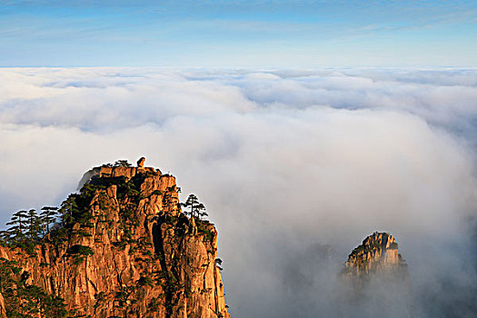 soi cau binh dinh 24h
