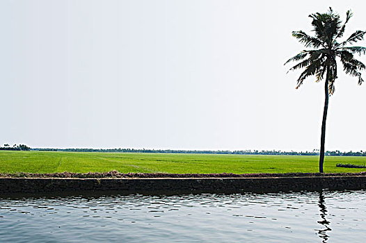 quay thử miền nam