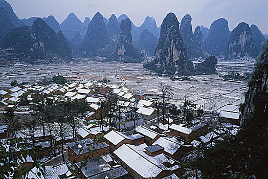 soi cau lo chinh xac mien phi