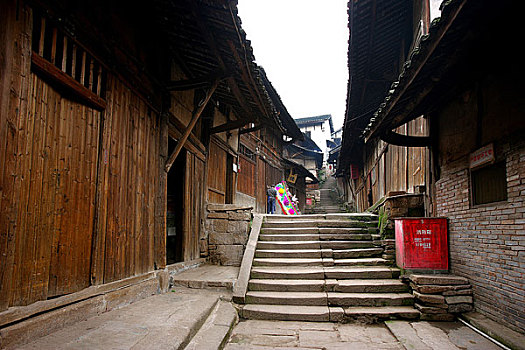 cau vip bach thu