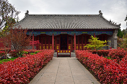 xổ