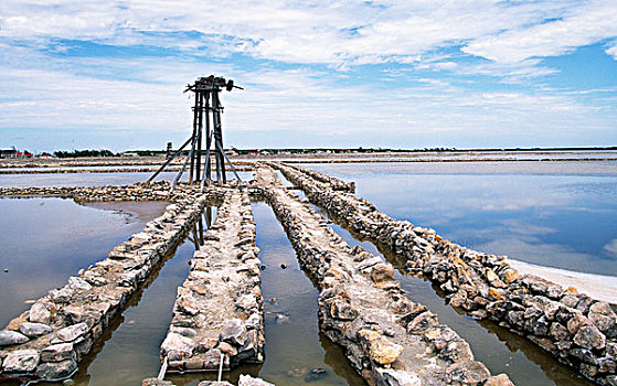 xổ số 366