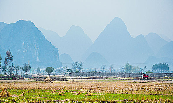 soi cau chuan 86