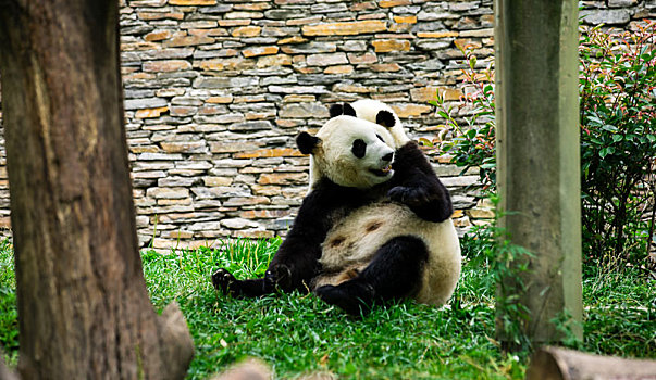 xổ số thứ năm