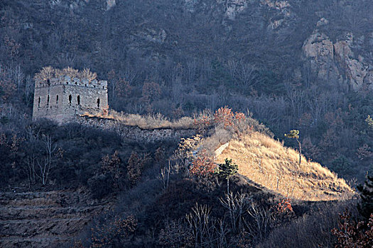 du doan xsmb rong bach kim
