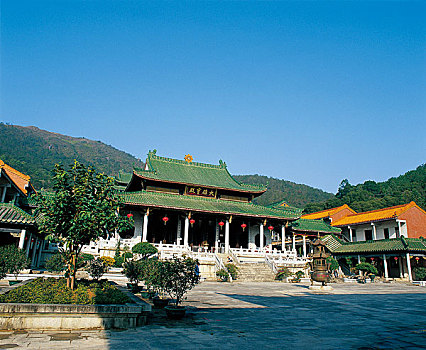 bach thu hom nay danh con gi
